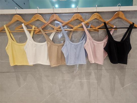 Musculosa de Morley Breteles
